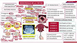 Causas de Hemorragia en el Embarazo [upl. by Ellehcyar]