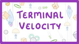 GCSE Physics  Terminal Velocity 55 [upl. by Hanej]