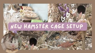 Spot Cleaning my Hamsters Cage 🪴💜 natural  germaninspired cage layout [upl. by Malas]