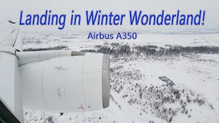 Landing in Winter Wonderland in Helsinki Finland on a Finnair A350 [upl. by Elmina]