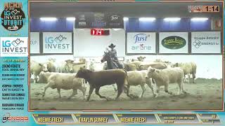 Ncha Europe 2000 Limit Rider Circuit Final CoChampion [upl. by Rosemonde]