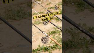 quotFiyatPerformans Canavarı 3 LRF Kamışıquot fishing carpfishing lrf youtubeshortsfishingtips [upl. by Ylluz]