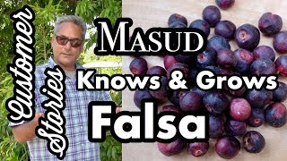 Customer Stories Masud grows Falsa in Texas [upl. by Nneb]