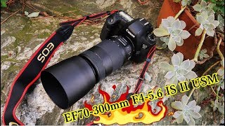 EF70300mm F456 IS II USMを購入！フルサイズ対応！ Canon [upl. by Tibbitts739]