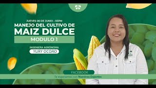 🌽 Manejo de Cultivo de Maiz 🌽 Modulo 1  WEBINAR 🔴 [upl. by Daniels]