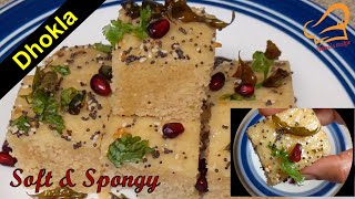 Dhokla  Daal Dhokla  Vateli dal na dhokla  How to make soft and spongy dhokla  dhokla recipe [upl. by Maro]