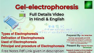 gel electrophoresis  gel electrophoresis in hindi  gel electrophoresis procedure  pathology DMLT [upl. by Tavis]