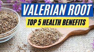 Valerian Root Health Benefits 5 Powerful Health Benefits [upl. by Aile]