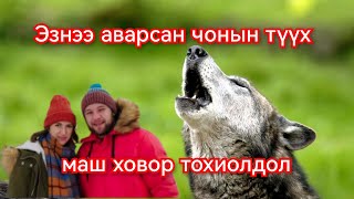 Эзнээ аварсан чонын түүх Гоё Түүхүүд Goy tuuhuud mongol heleer kino duu barimtat kino 2024 [upl. by Aratihc]