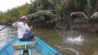 Spot dahan Nipah rebah jadi sarang ikan Mangrove Jack dan Black BassMancing joran bambu [upl. by Helsie]