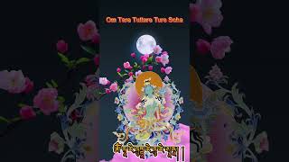 Green Tara Mantra 108 Repetitions  Most powerful Devi mantra buddha [upl. by Autrey999]