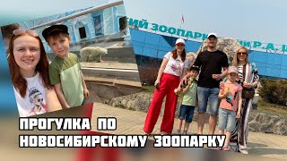 Прогулка по Новосибирскому зоопарку Зоопарк им Шило в Новосибирске Отдыхаем с семьей в НСК [upl. by Honey734]