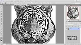 Trasformare la foto in stampa serigrafica con Photoshop [upl. by Toh438]