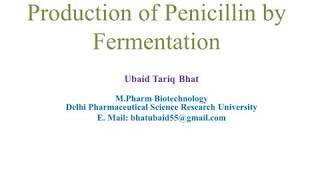 Production of Penicillin by Fermentation  Ubaid Bhat [upl. by Oby]