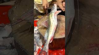 Mastering Ayer Fish Cutting Live Video In Bangladesh Fish Market  Expert Cutting Tips amp Technique [upl. by Falda252]