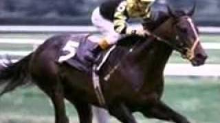 Top Ten greatest Racehorses of all time read description [upl. by Lambard]