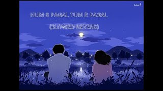 Hum Bhi Pagal Tum Bhi Pagal SLOWEDREVERB [upl. by Iegres]