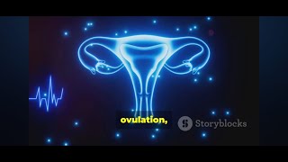 Menstrual Cycle Explained science health education neet facts didyouknow biology [upl. by Scottie]