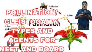 POLLINATION CLEISTOGAMY AGENTS TYPES FOR NEET BOARDAB ALL IS WELL [upl. by Ohce]