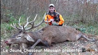 Chasse Aux Gros Gibiers Cerfs sangliers chevreuils renards [upl. by Ettennig]