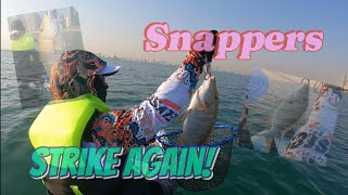 Snapper Season is here  Kayak fishing  DuoKayak [upl. by Maybelle]