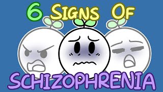 6 Signs Of Schizophrenia [upl. by Enaywd]