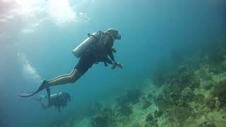 Bayahibe Diving El Penol 1 [upl. by Grantland]