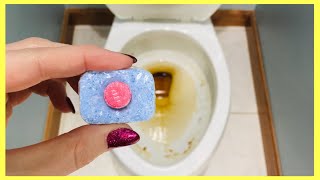 Put a Dishwasher Tablet in your Toilet Bowl amp WATCH WHAT HAPPENS 6 Genius Uses  Andrea Jean [upl. by Aivekahs]