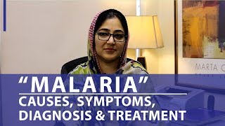 What is Malaria  Causes Symptoms Diagnosis amp Treatment  Chughtai Lab Online [upl. by Pietro]