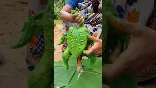 Green chicken 🍗 cooking new recipe Desi method [upl. by Adnohral]