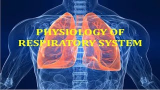 respiratory system part 2 by Dr\ Mahmoud  physiology  شرح الجزء الثاني من المحاضرة السادسة فسيو [upl. by Terrijo]