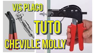 Comment utiliser une pince Molly pour fixer une cheville métallique sur du placo  Vis à placo tuto [upl. by Shaner]