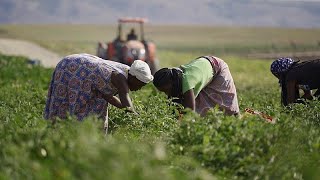 Angola aposta no crescimento do setor agrícola [upl. by Byron]