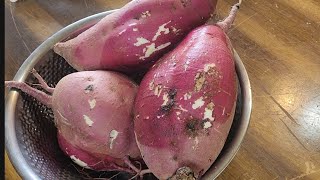 고구마 간식으로 드시지않고 이렇게 드세요 간단반찬으로 먹기좋은 3가지 고구마반찬 Making sweet potato side dishes [upl. by Knighton]