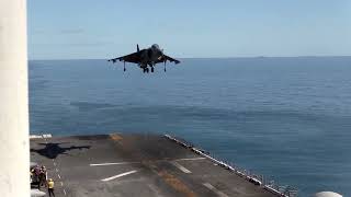 Harrier Vertical Take Off  Harrier Jump Jet [upl. by Furlani]