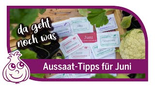 Letzte wichtige Aussaaten im Juni  Aussaattipps [upl. by Strohbehn]