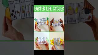 Social studies  life cycles [upl. by Tihor]