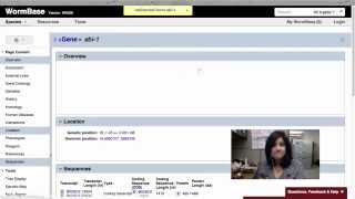Intro to WormBase Viewing Interactions [upl. by Alek774]