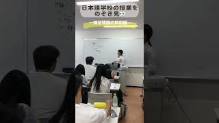 【日本語学校の授業を覗き見🫣】〜練習問題の解説編〜練習問題は基本既習。解説はどれくらい時間をかける？ 日本語教師 日本語教師養成講座 [upl. by Hyatt486]