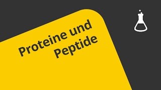 Was stabilisiert die Raumstruktur bei Proteinen und Peptiden  Chemie  Organische Chemie [upl. by Nomrah681]