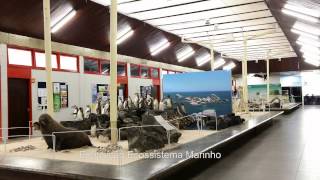 Museu de Zoologia da Unesc [upl. by Alcott12]