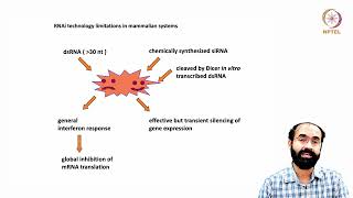 Dosage Compensation Xist and ncRNA in Imprinting Mechanism of RNAi in Action [upl. by Ode]