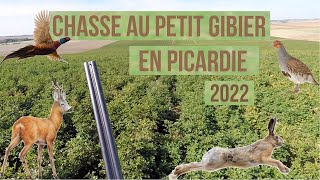 Chasse au petit gibier en Picardie 2022 Lièvre faisan perdrix grises renard chevreuil [upl. by Carry311]