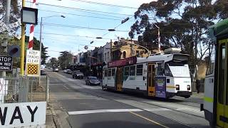 The Kooyong Tram Square [upl. by Peg]