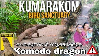 Kumarakom Bird Sanctuary  പതിയിരിക്കുന്ന അപകടം 😱 Trekking Destination  kumarakom Tourist Places [upl. by Wakeen]