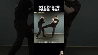 Best fighting technique in street fight kungfu martialarts mma [upl. by Anastase]