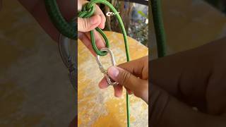 Great Real Butterfly Knot Stepbystep knots knotwork shorts [upl. by Nhojleahcim]