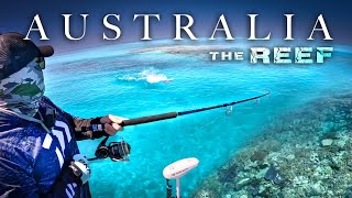 Australias Biggest Reef Fish Captured on Film [upl. by Anahcra488]