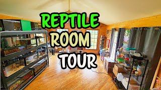 Reptile Room Tour Part 1 [upl. by Noivad469]