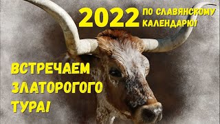 2022 год по Славянскому календарю Встречаем Златорогого Тура [upl. by Faruq824]